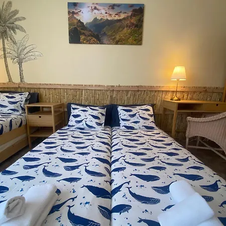 Surf Villa *